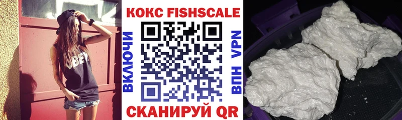 КОКАИН Fish Scale  купить закладку  Питкяранта 