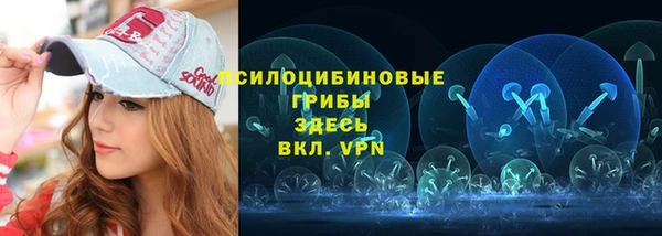 дживик Михайловск