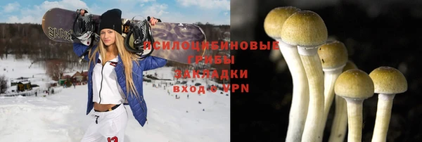 прущая мука Михайлов