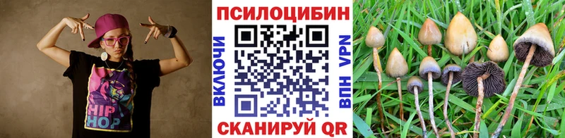Галлюциногенные грибы GOLDEN TEACHER  Питкяранта 