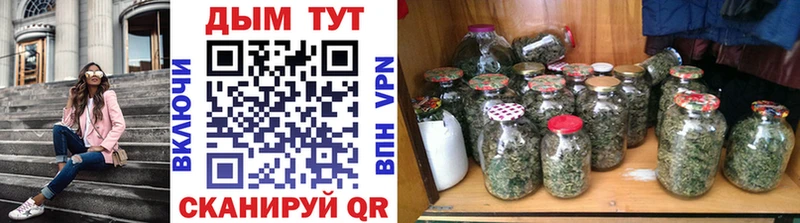Бошки марихуана SATIVA & INDICA  МЕГА как войти  Питкяранта  наркота 